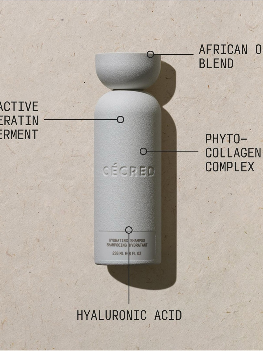 Cécred hydrating shampoo with hyaluronic acid 8fl oz - Picture 4 of 7